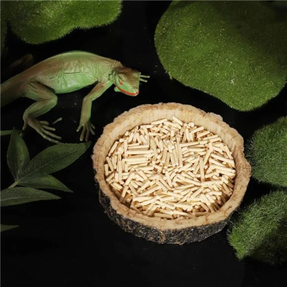 2 Pack Reptile Water and Food Bowls, Novelty Food Bowl for Lizards, Young Dragon